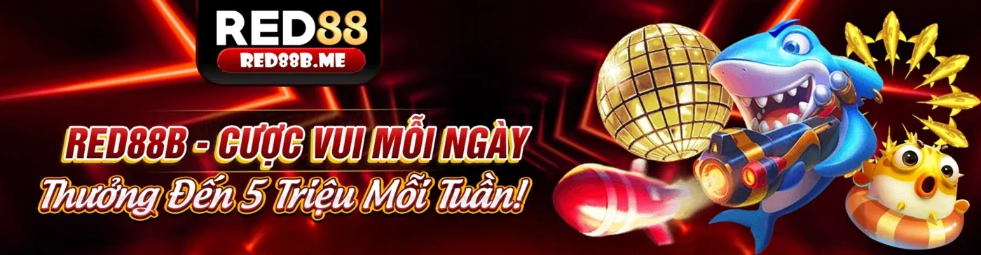 Hình ảnh đại diện Điều khoản Dịch vụ của kc6 đăng nhập